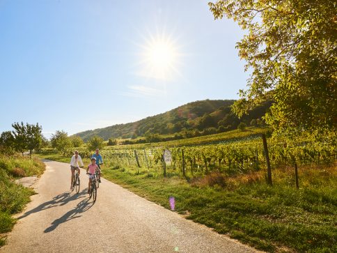 00000000135_Der-Sonne-entgegenradeln_(c)-Burgenland-Tourismus-GmbH_Paul-Szimak_1024x768